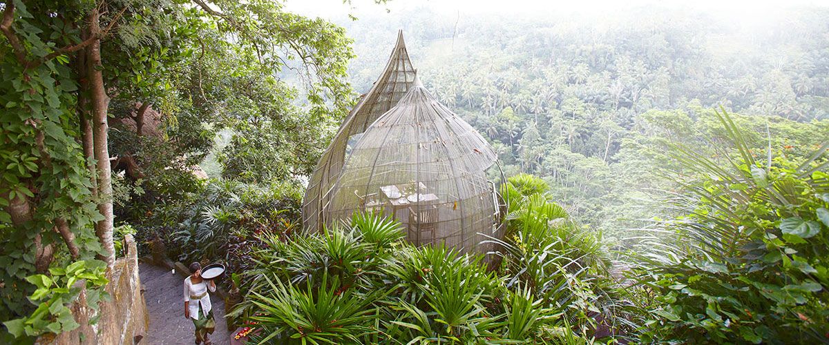 Kupu Kupu Barong Villas & Tree Spa by L'Occitane фото 61