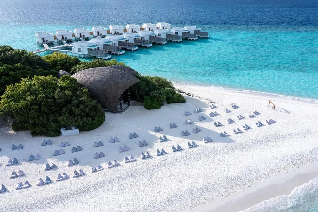 Niva Dhigali Maldives фото 37