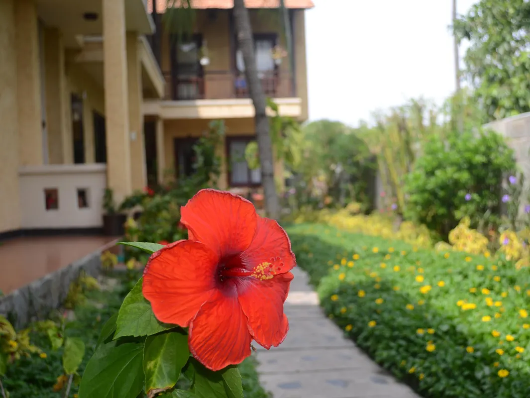 Rang Garden Bungalow фото 12
