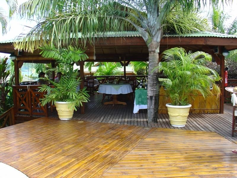 Le Jardin Des Palmes фото 24
