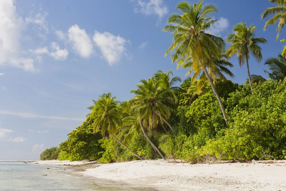 Dhonfulhafi Beach View & Spa фото 20