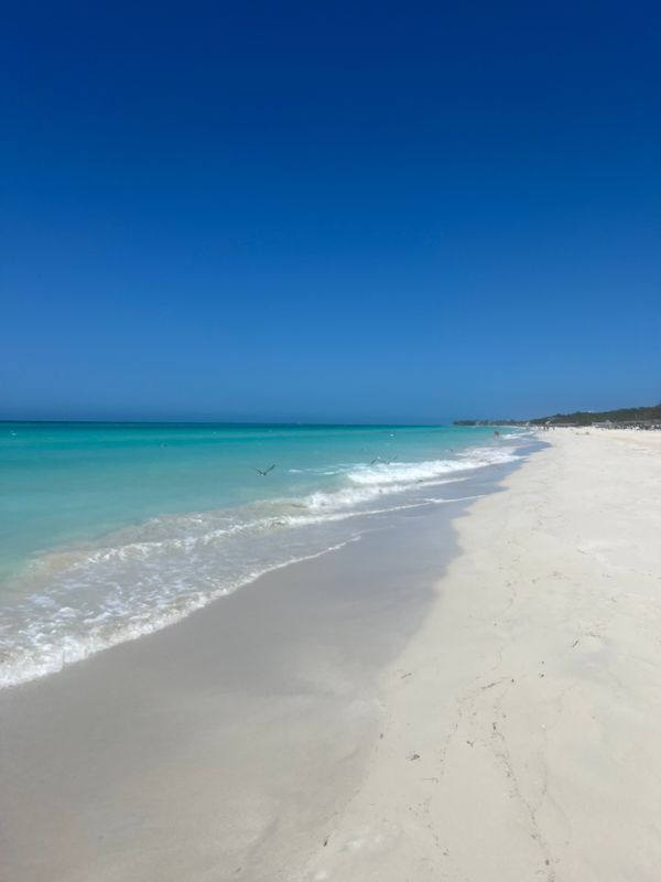 Blau Varadero (Adults Only) фото 54