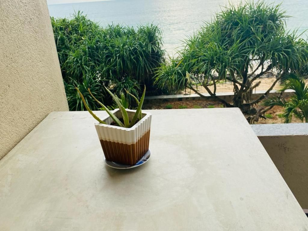 Sevenra Grand Beach фото 28
