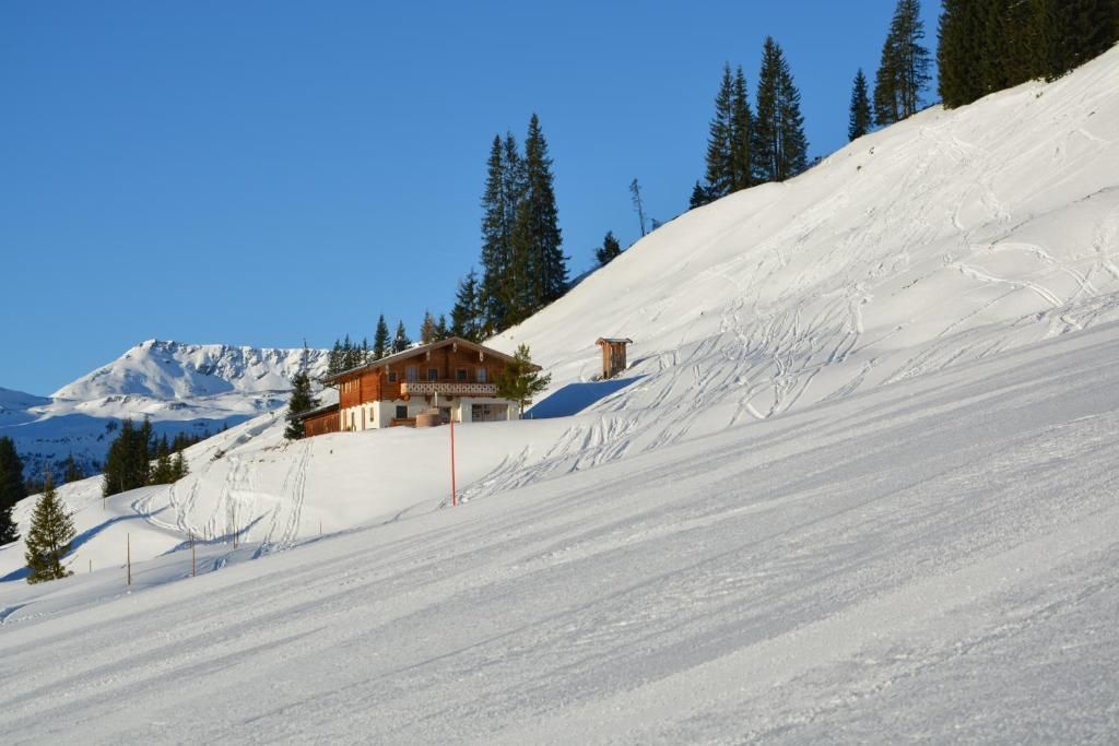 Alpine Deluxe Chalet Wallegg-Lodge фото 2