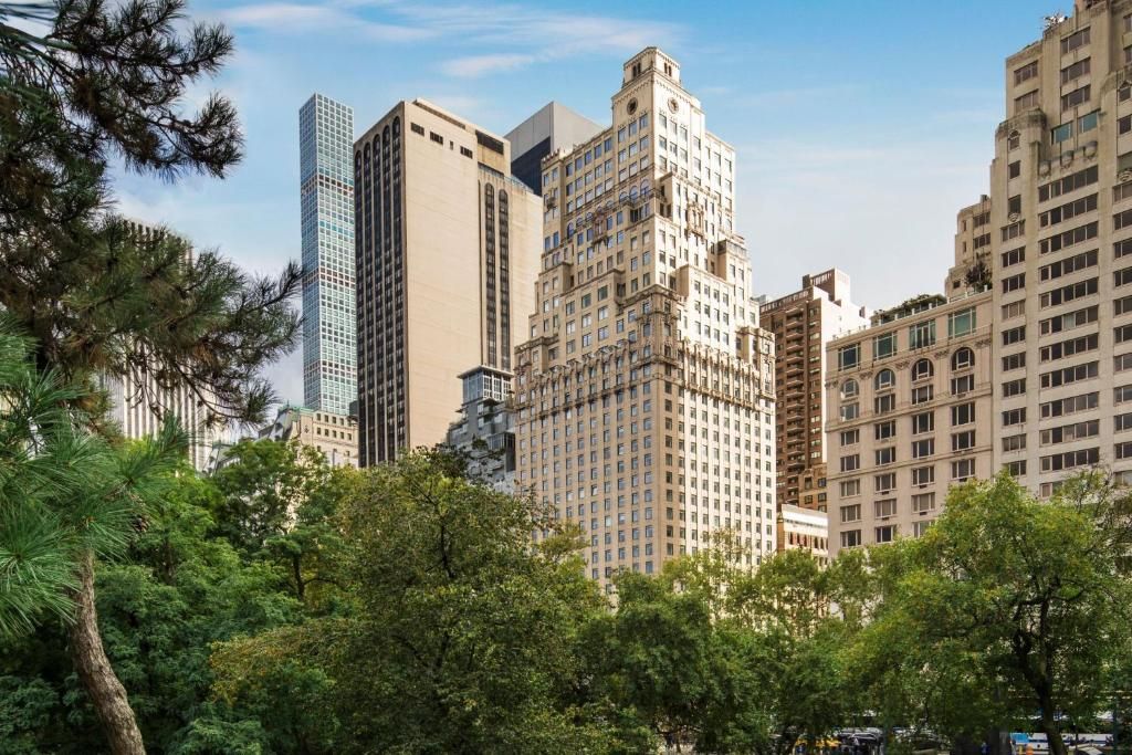 The Ritz-Carlton New York, Central Park фото 9