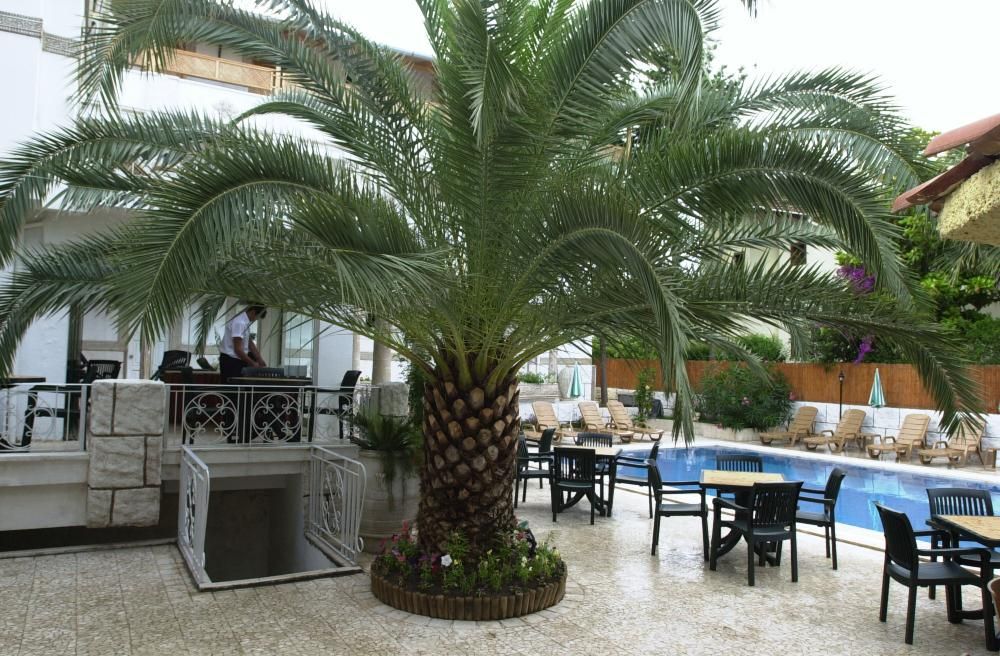 Kemer Star Hotel фото 36