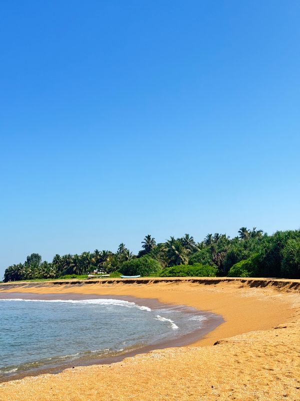Avani Kalutara Resort фото 35