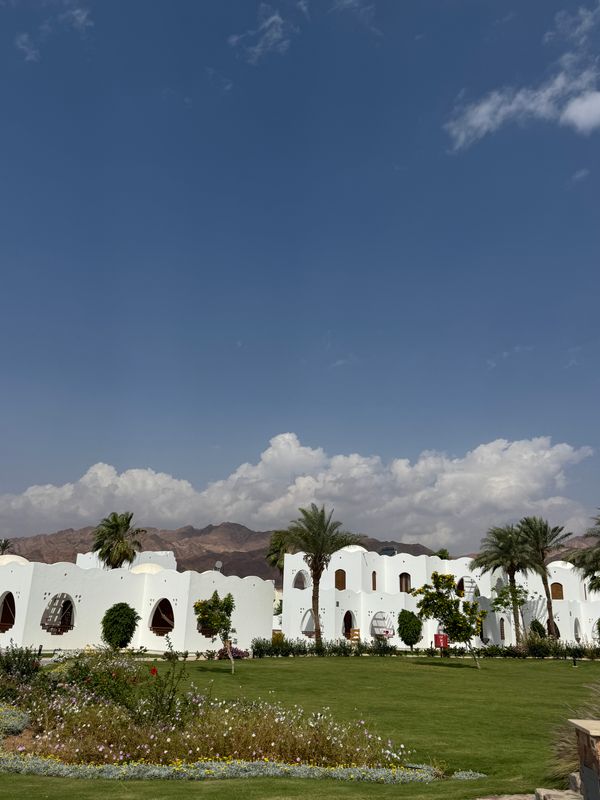 Safir Dahab Resort фото 21