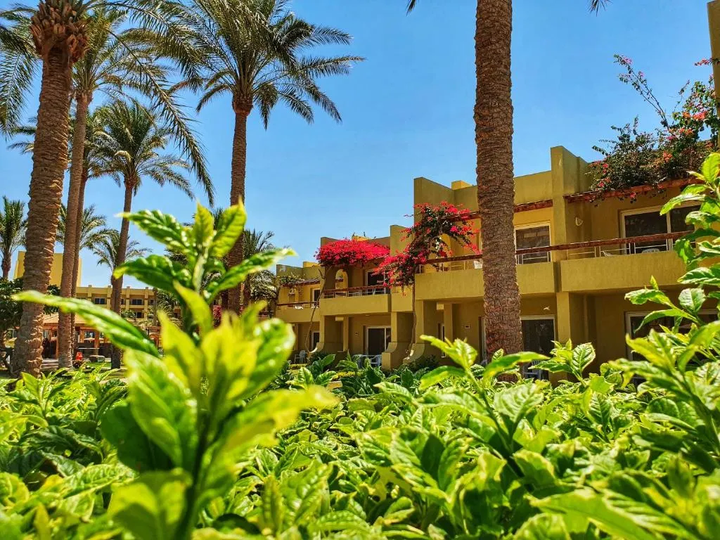 Palm Beach Resort фото 100