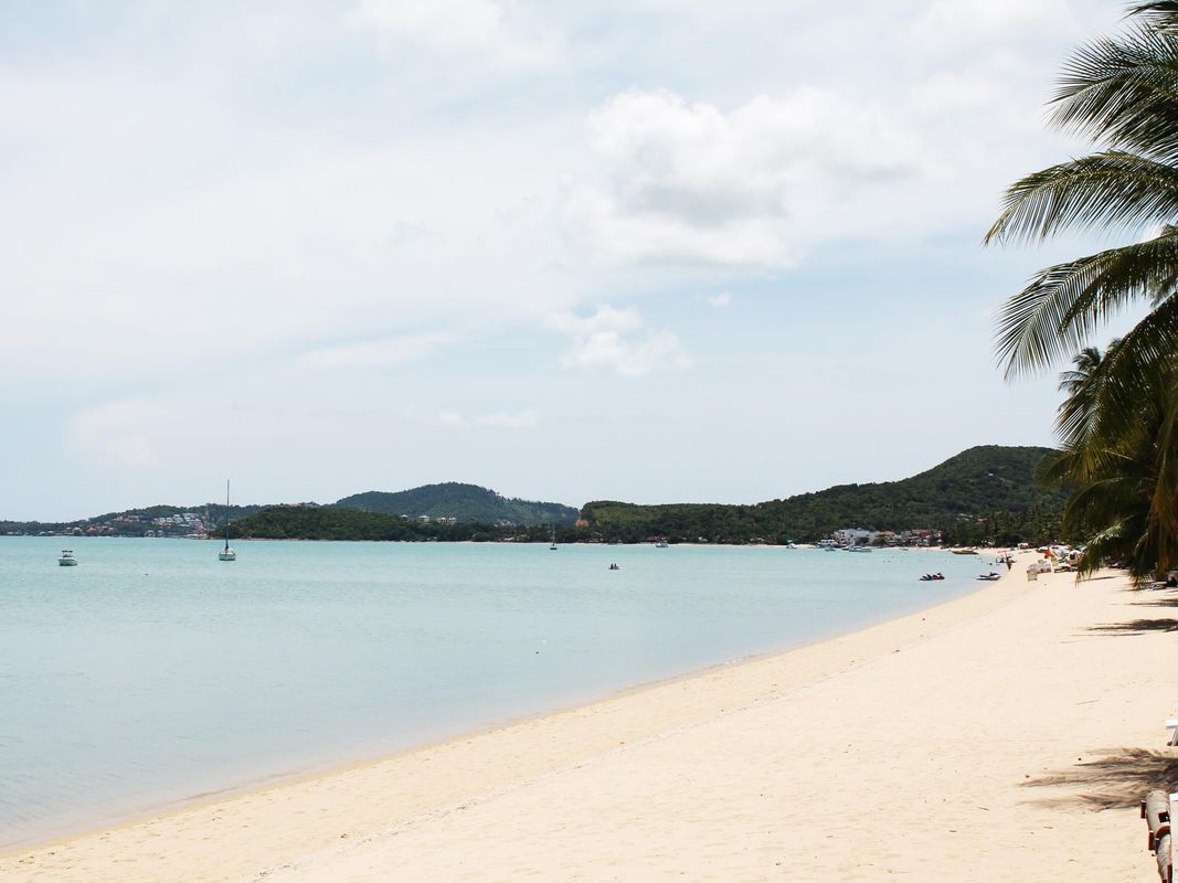 Samui Palm Beach Resort фото 16