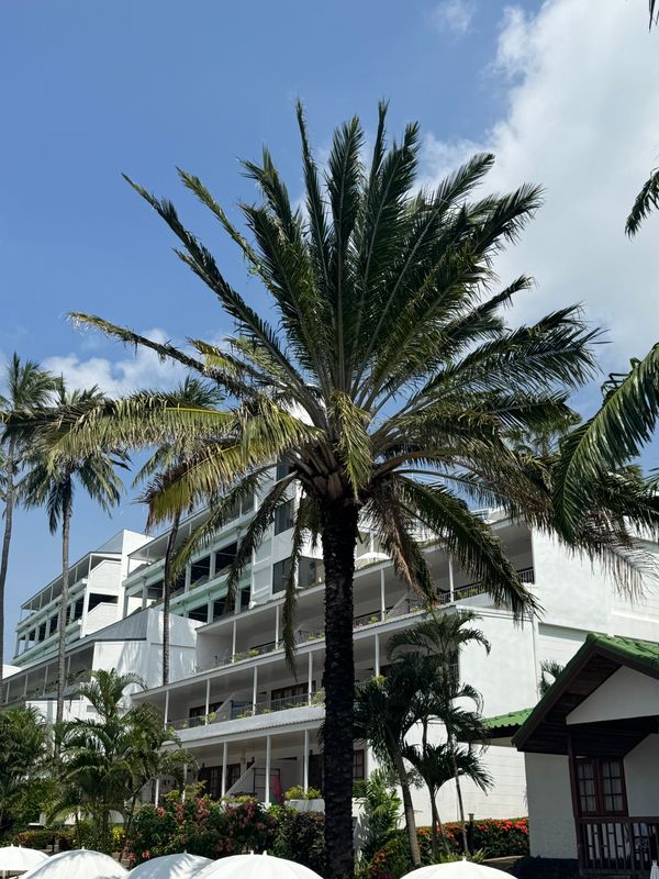 Best Western Phuket Ocean Resort фото 35