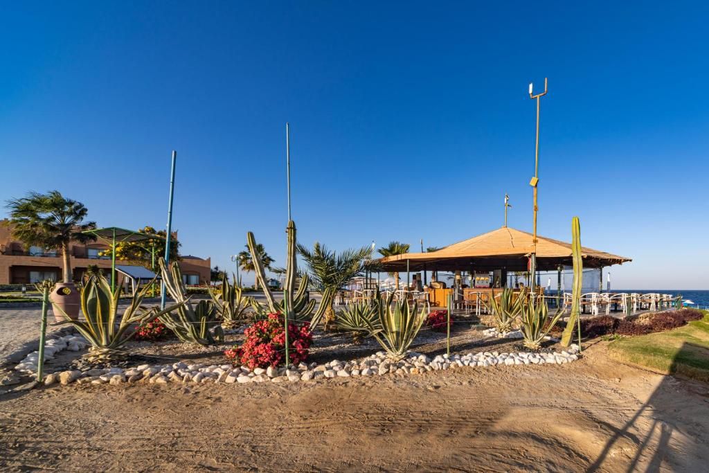 Sentido Akassia Beach фото 102