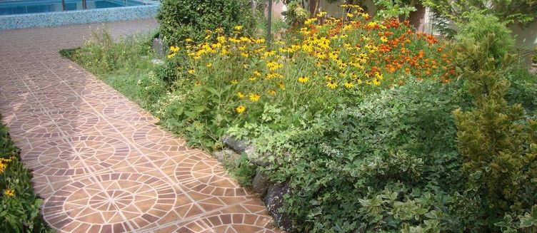 Фото отеля Солнце