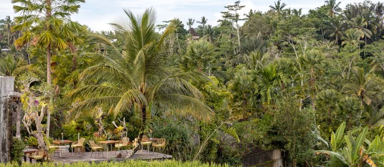 Фото отеля Nau Villa Ubud