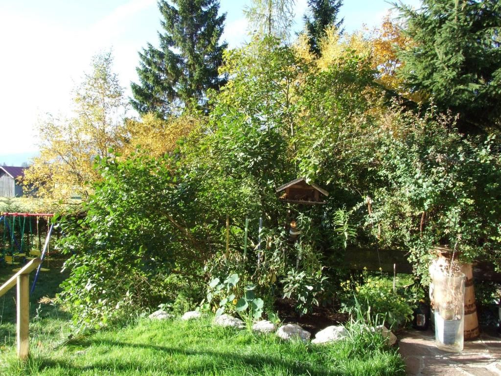 Hotel Menthof фото 13
