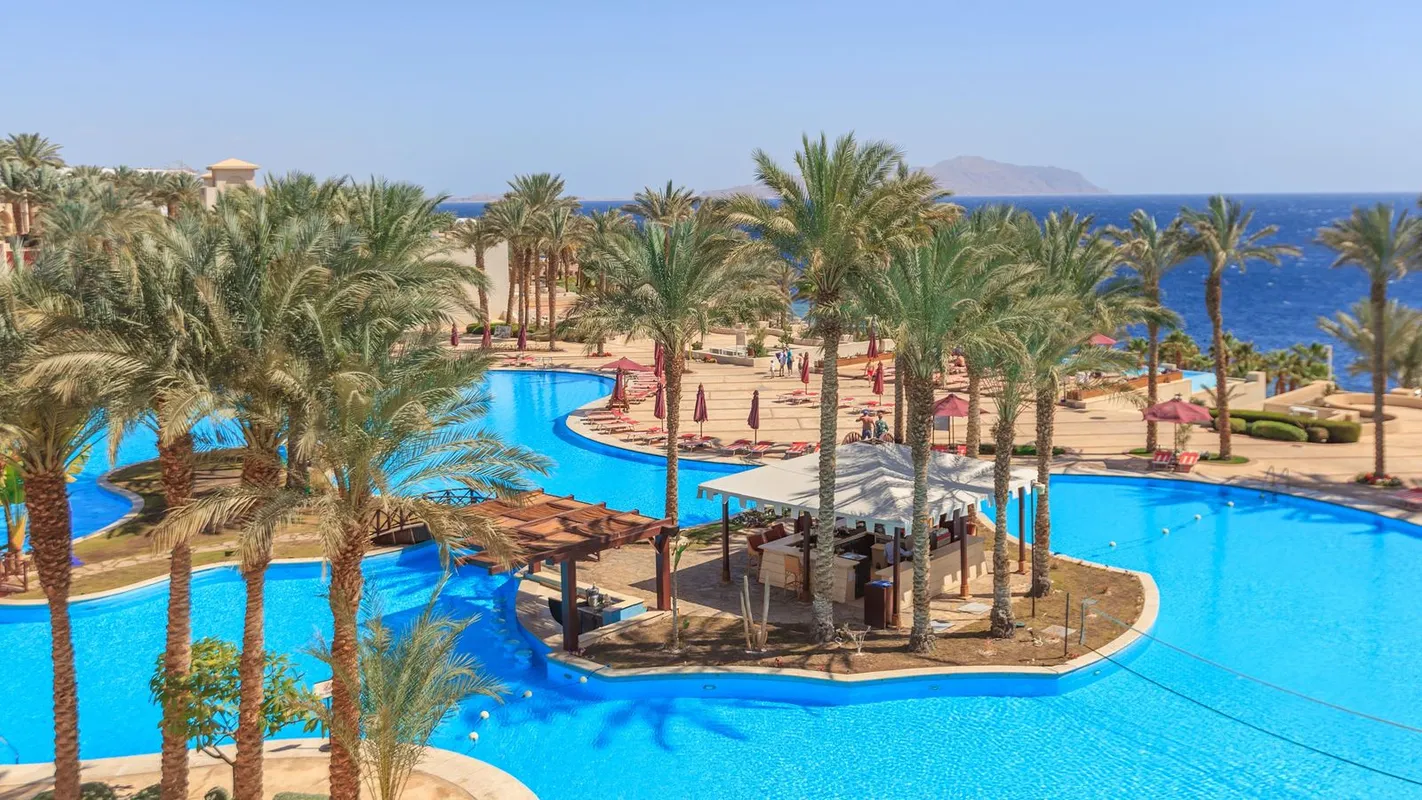 Grand Rotana Resort & Spa фото 8