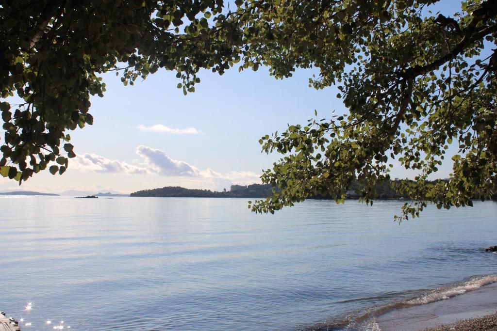Dassia Beach фото 18
