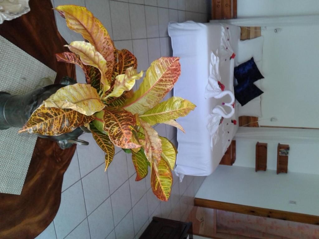 Гостевой дом «Le Relax St. Joseph Guest House» фото 34