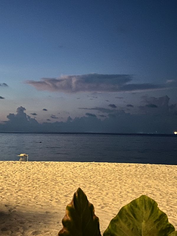 Arena Beach Hotel фото 58