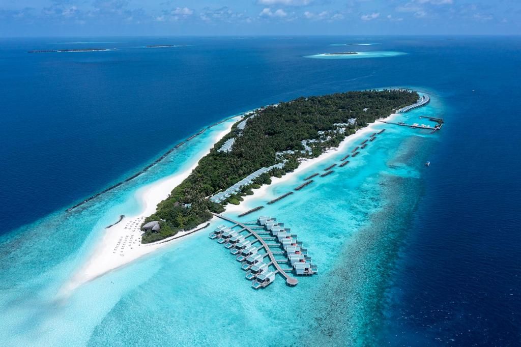 Niva Dhigali Maldives фото 82