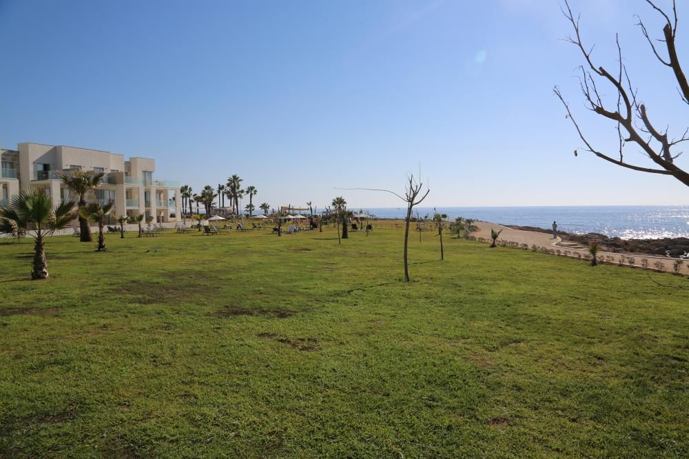 Amphora Hotel & Suites фото 14