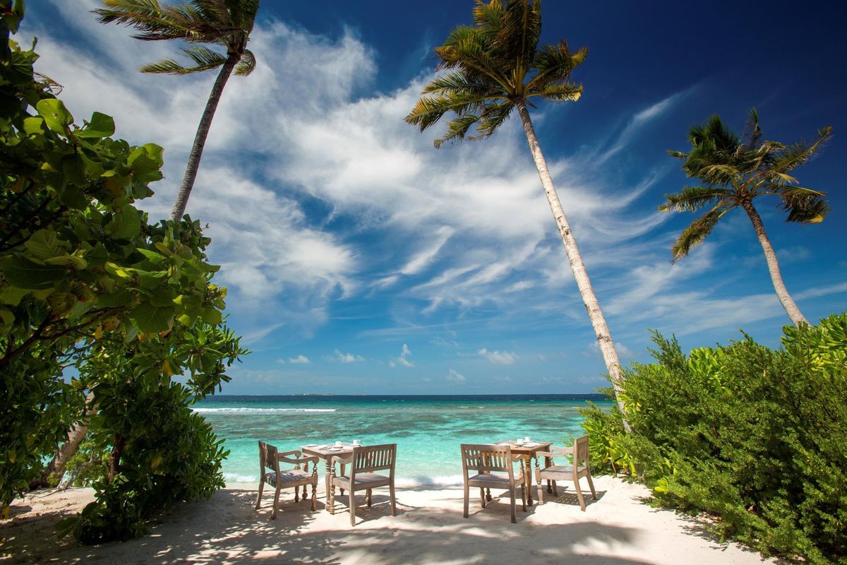 Loama Resort Maldives at Maamigili фото 17