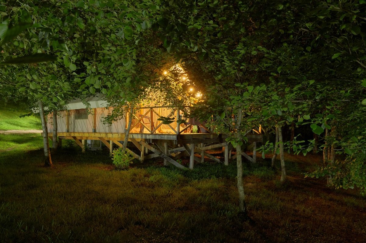 Garuda Glamping Abkhazia фото 83