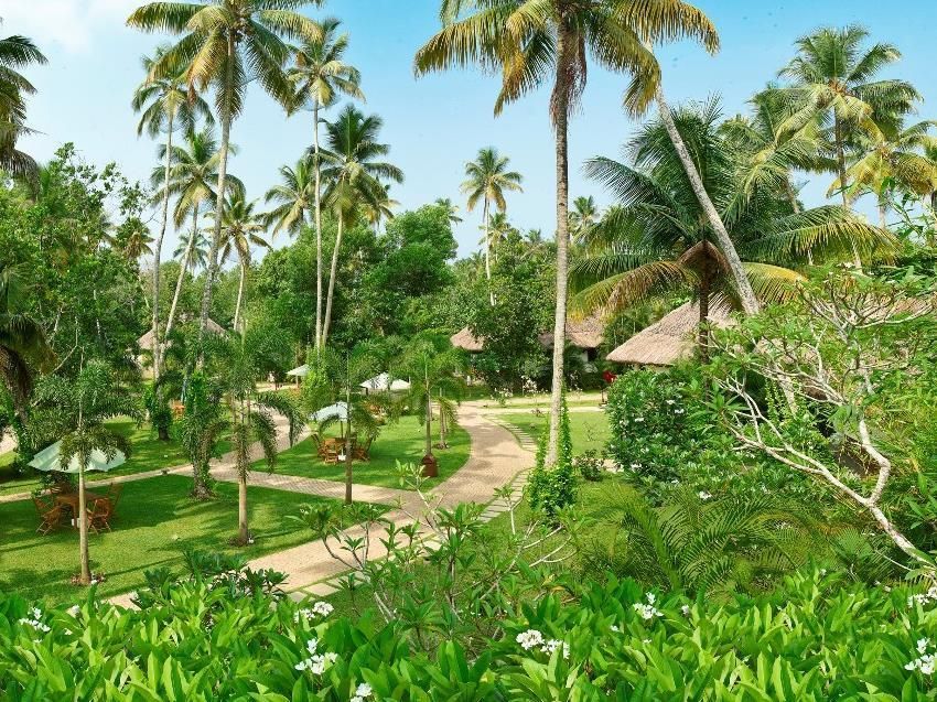 Carnoustie Ayurveda & Wellness Resort фото 3