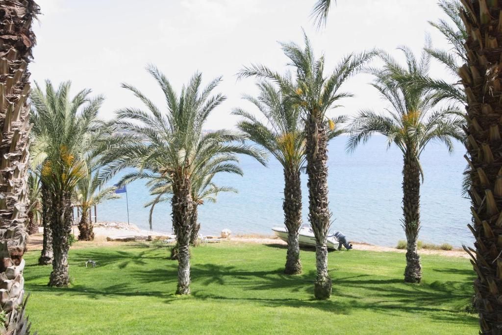 Ascos Coral Beach Hotel фото 34