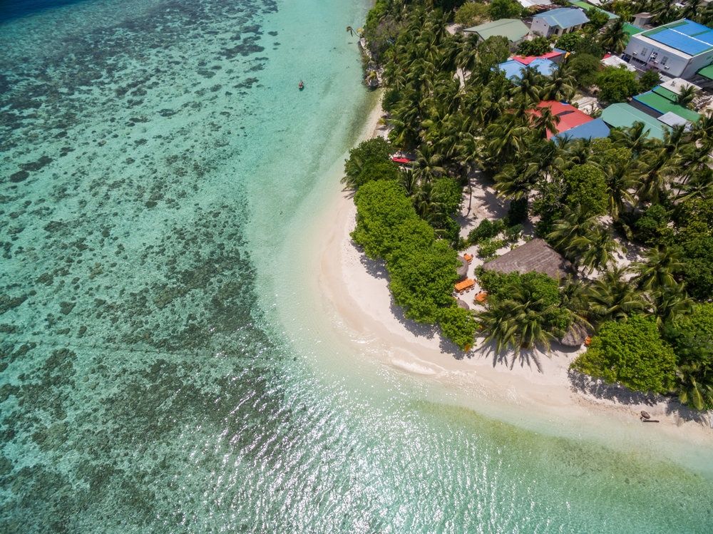 Guest House ««Plumeria Maldives» Guest House» фото 79