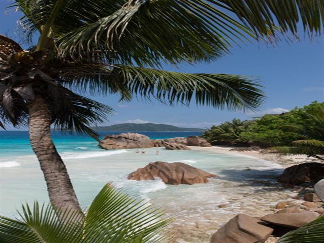 Le Relax Luxury Lodge фото 6