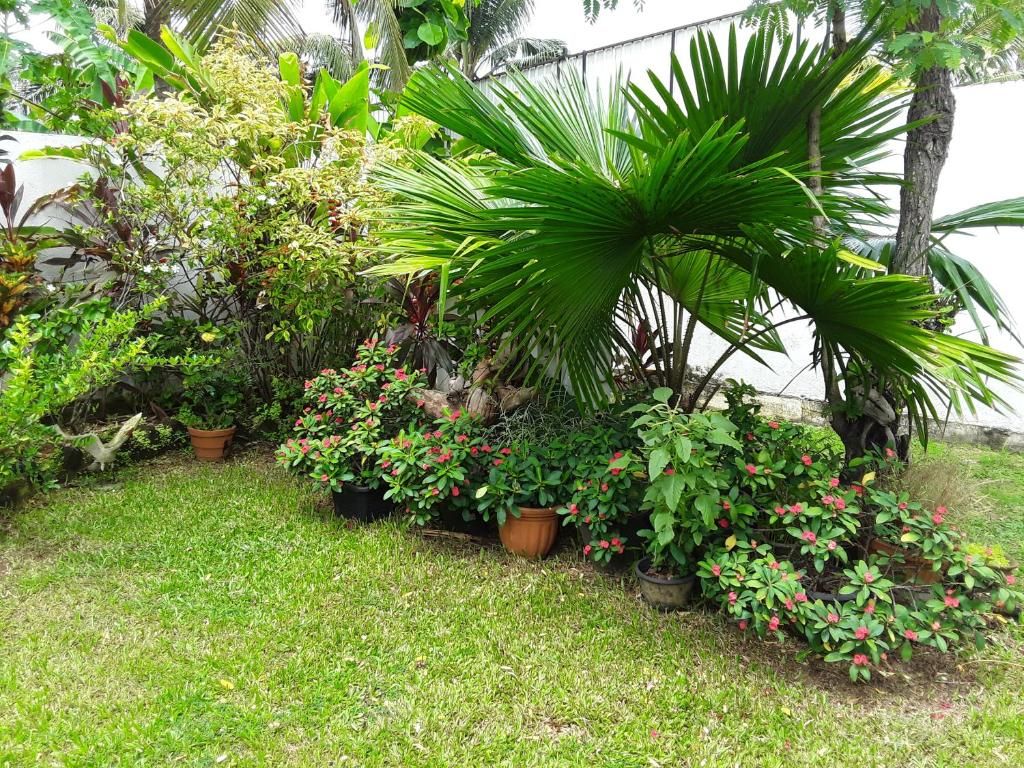 Karl Holiday Bungalow фото 47