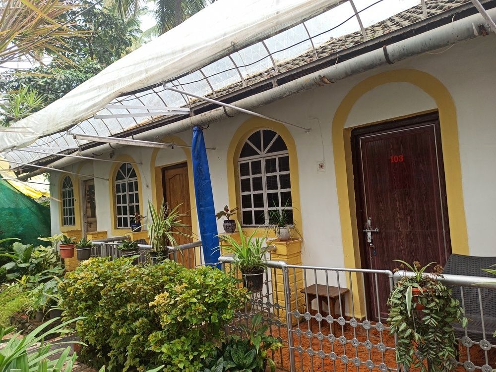 Guest House «Zappia Cove Guesthouse» фото 38