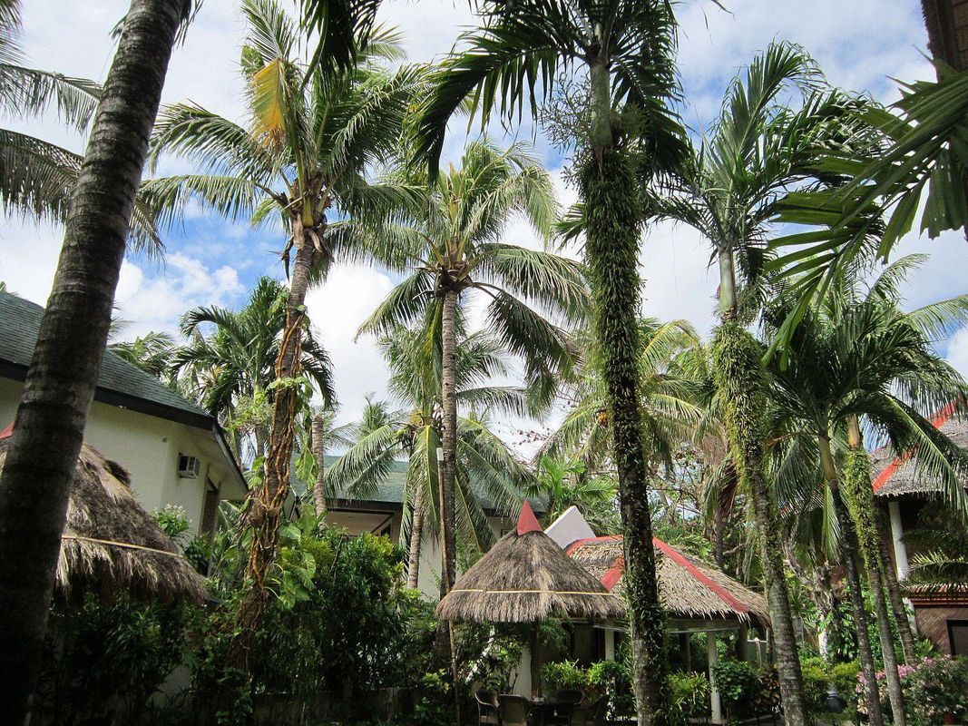 Tonglen Beach Resort фото 7