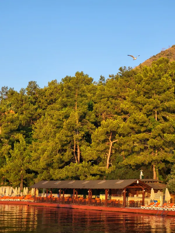 Marmaris Park фото 69