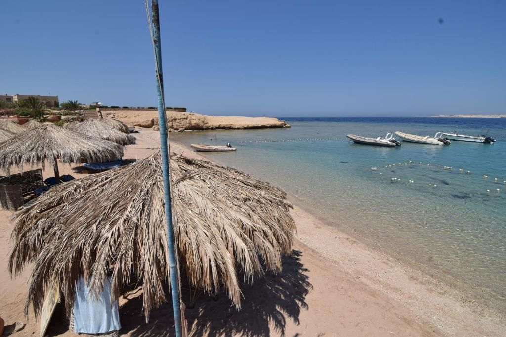 Sharm El Naga Resort and Diving Center фото 7