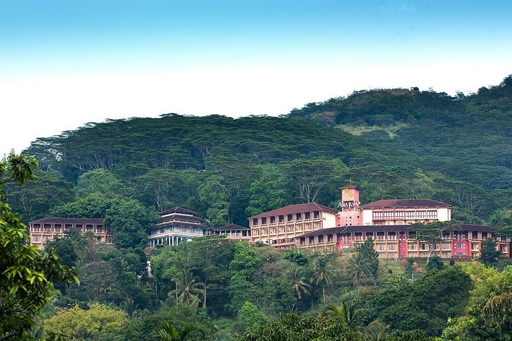 Amaya Hills Kandy фото 34