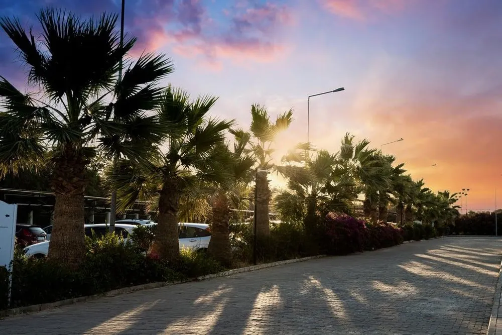 Anadolu Hotels Didim Club фото 84