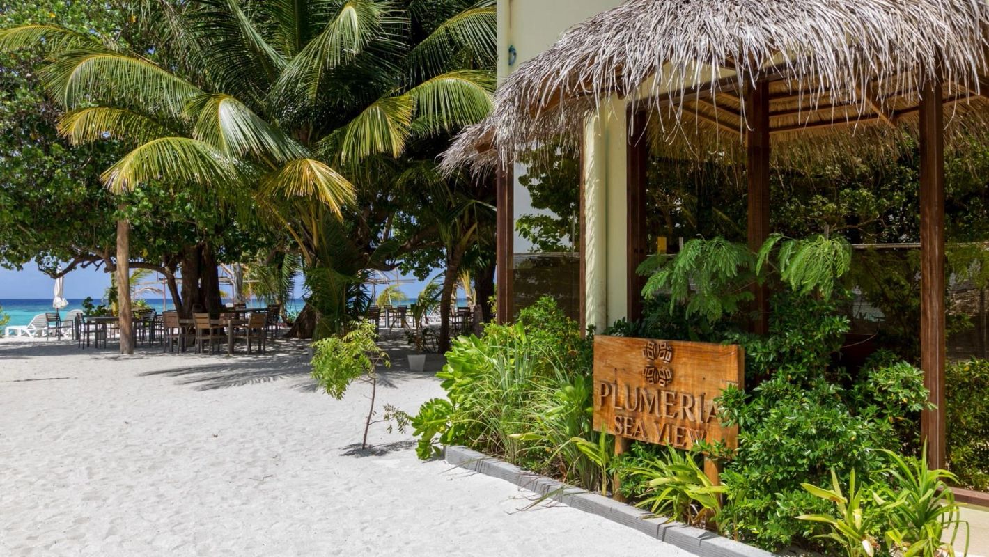 Guest House ««Plumeria Maldives» Guest House» фото 11