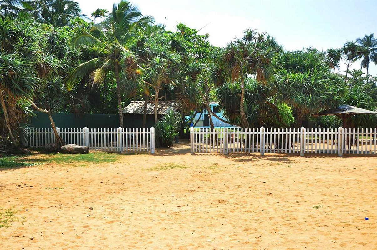 Green Shadows Beach Hotel фото 11
