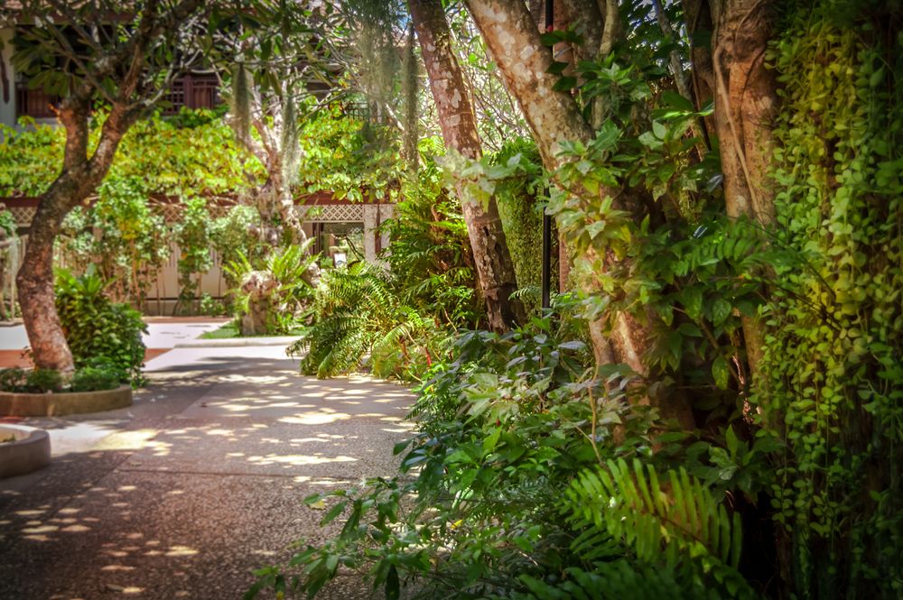 Thavorn Beach Village Resort & Spa фото 112