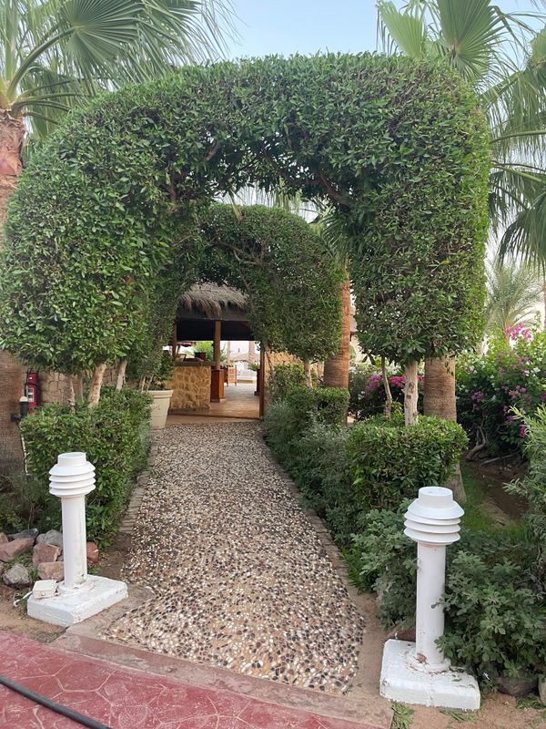 Swiss Inn Resort Dahab фото 45