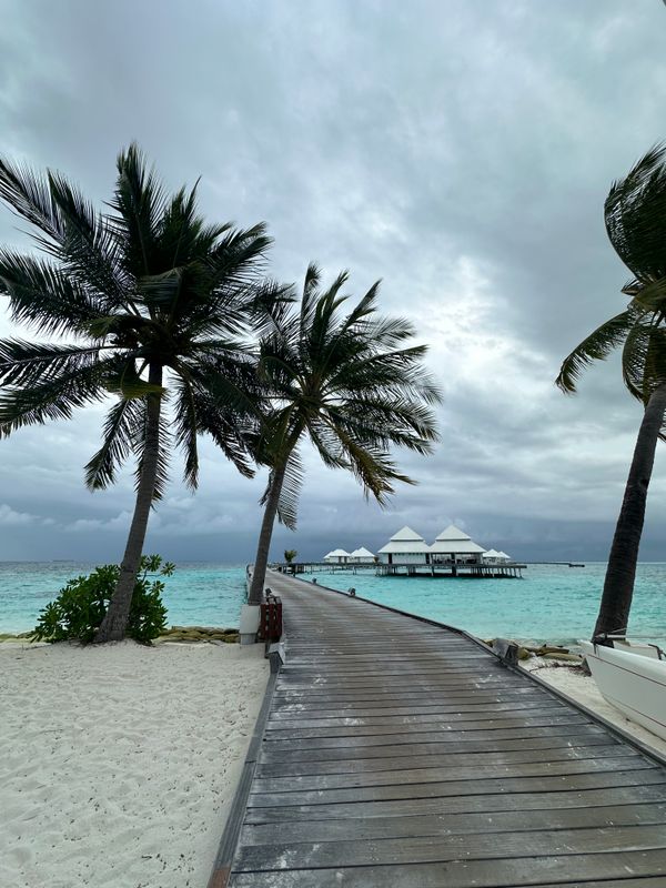 Diamonds Thudufushi Maldives фото 22
