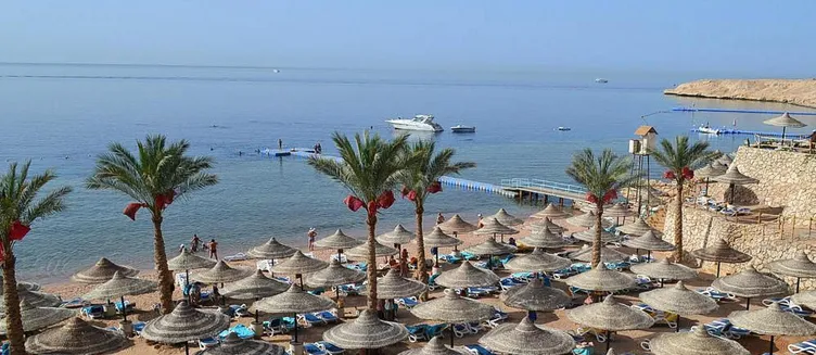 Фото отеля Island Garden Resort