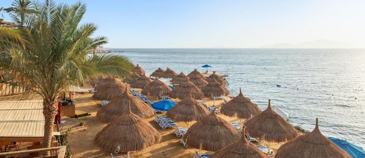 Фото отеля Pickalbatros Luxury Suites