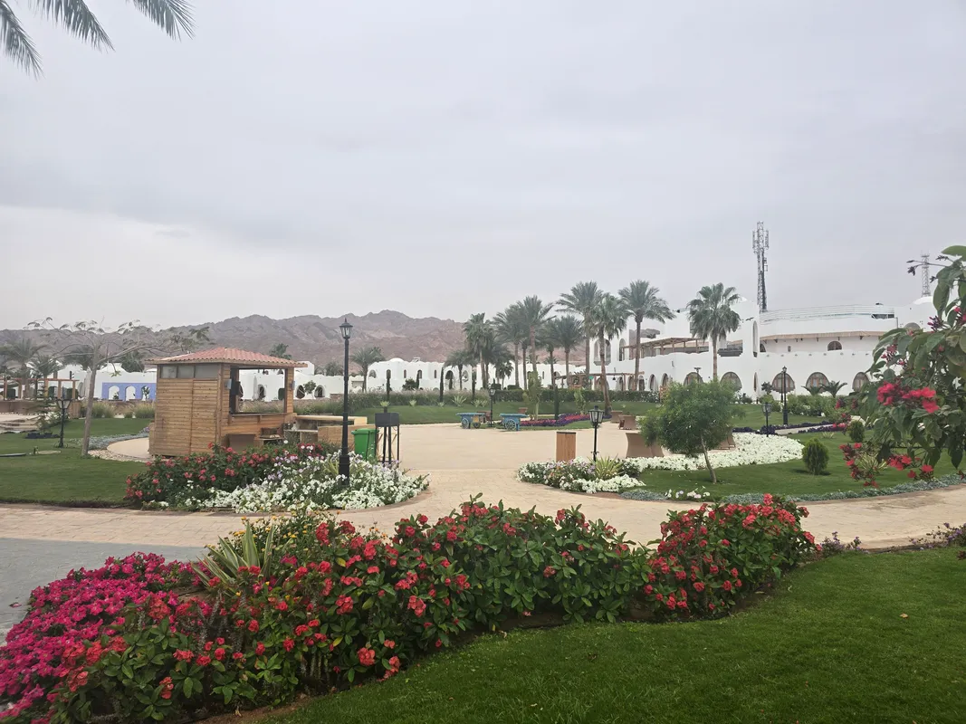 Safir Dahab Resort фото 17