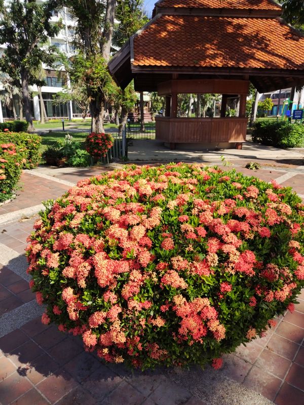 Pattaya Park Beach Resort фото 70