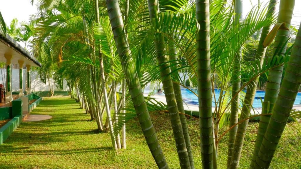 Sagarika Beach фото 12