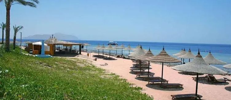 Фото отеля Melia Sinai