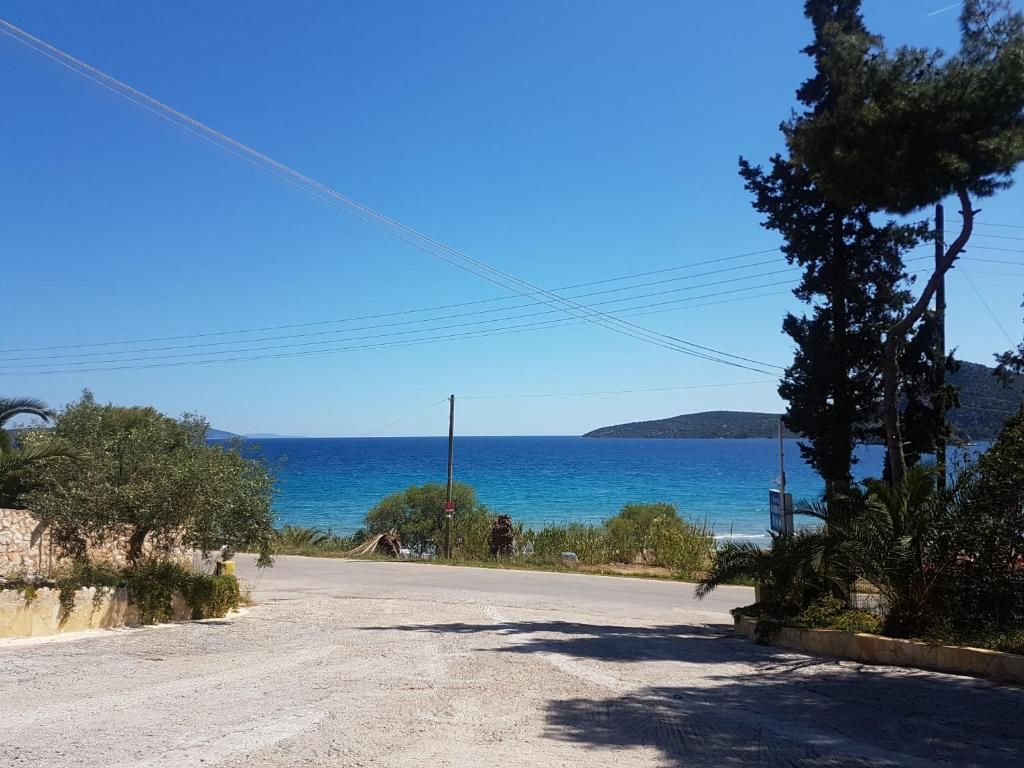 Tolon Beach фото 6
